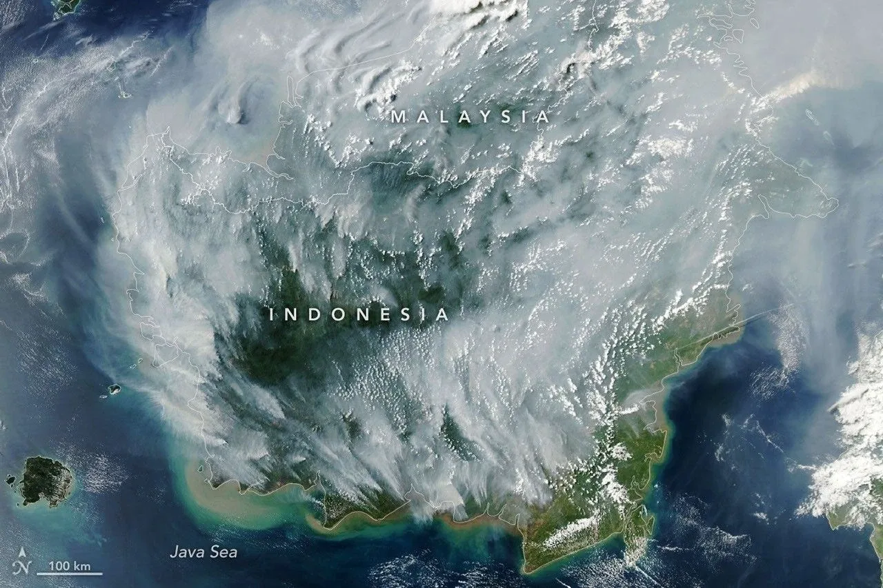 Imej satelit arkib menunjukkan asap kebakaran di Borneo pada 1 September 2026. &mdash; Imej: Lauren Dauphin / NASA Earth Observatory.