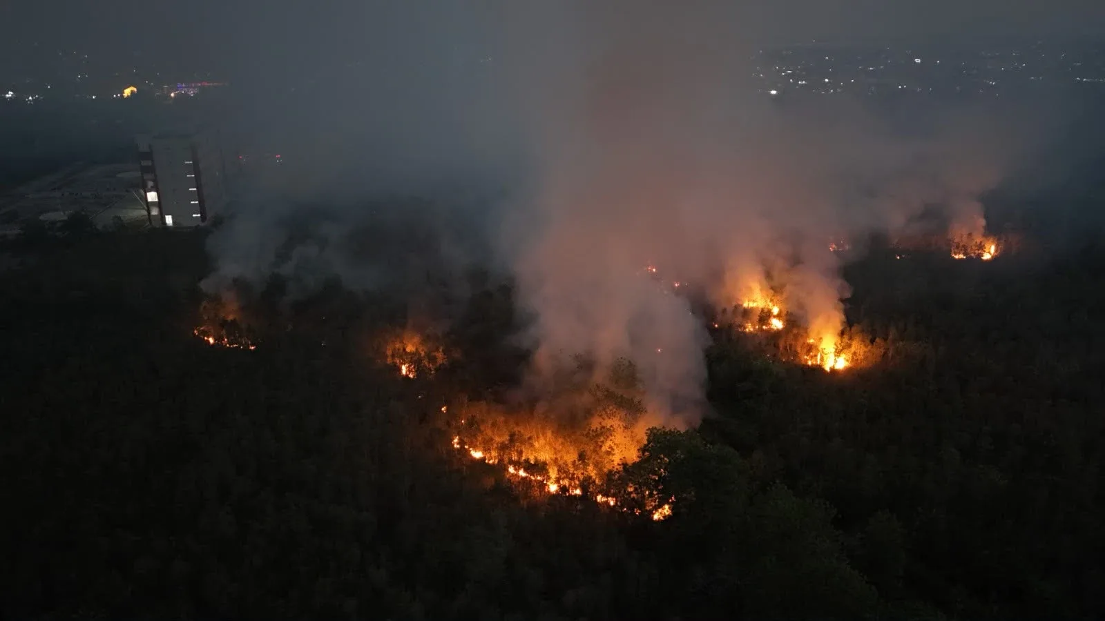 Foto arkib kebakaran di Kalimantan, Indonesia, 18 Ogos 2026. Foto MWul/Wikimedia Commons