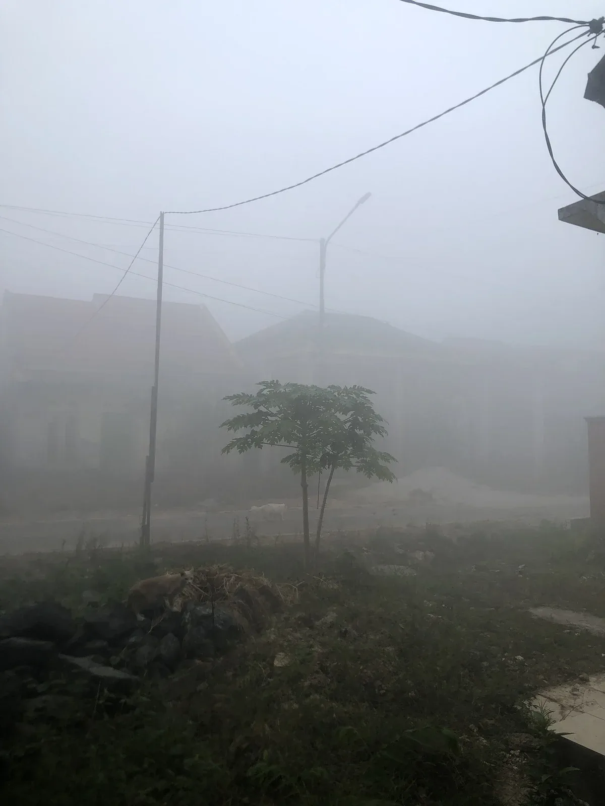 Jerebu akibat kebakaran hutan di Landasan Ulin, Banjarbaru, Kalimantan Selatan, dalam foto arkib 19 Ogos 2026. Foto Zenibas/Wikimedia Commons.
