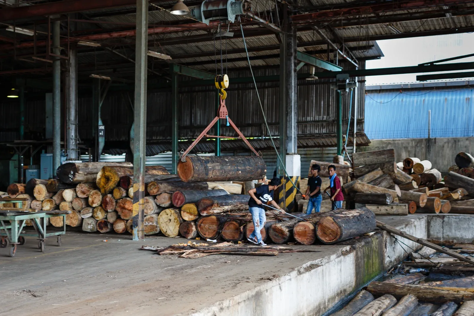 Pekerja di sebuah kilang papan lapis di Sandakan, Sabah dalam foto arkib 28 Mac 2016. Foto CEphoto, Uwe Aranas/Wikimedia Commons