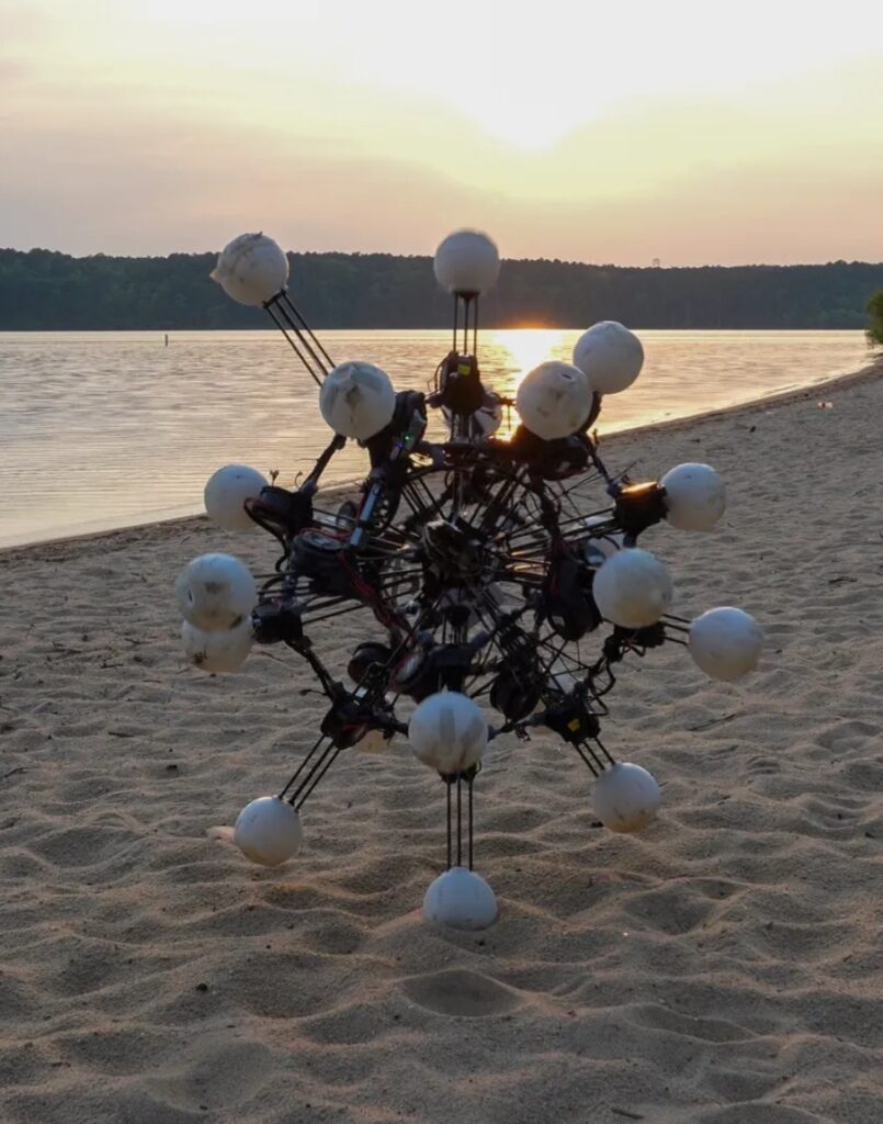 Argus, robot berkaki 20, bergerak melintasi sebuah pantai berpasir. (Universiti Duke)